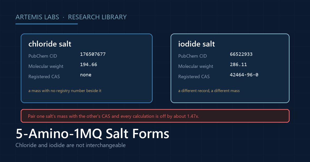 Side-by-side identity cards for the 5-Amino-1MQ chloride and iodide salts, each with its own PubChem CID and molecular weight, warning that pairing one salt's mass with the other's CAS number introduces a 1.47 times error