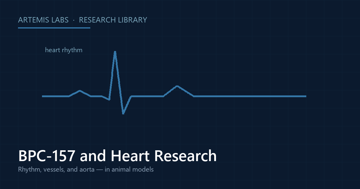 ECG heart-rhythm trace, illustrating BPC-157 cardiovascular research in animal models