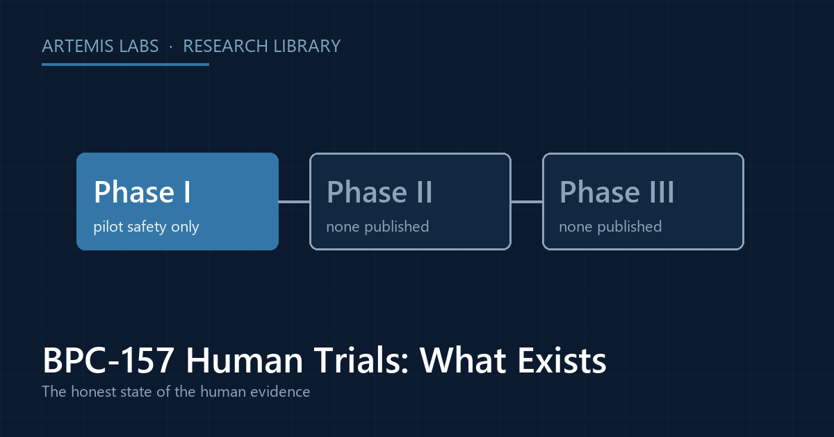 Timeline diagram of clinical trial phases for BPC-157 showing pilot safety work only at Phase I and none published at Phases II and III