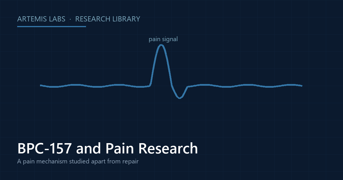 Diagram of a nerve signal spike, illustrating BPC-157 pain-mechanism research reported in a 2026 review