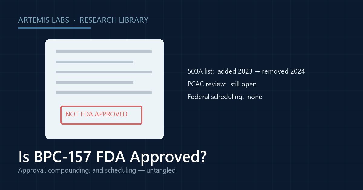Illustration of a regulatory document stamped not FDA approved, with the 503A compounding timeline for BPC-157
