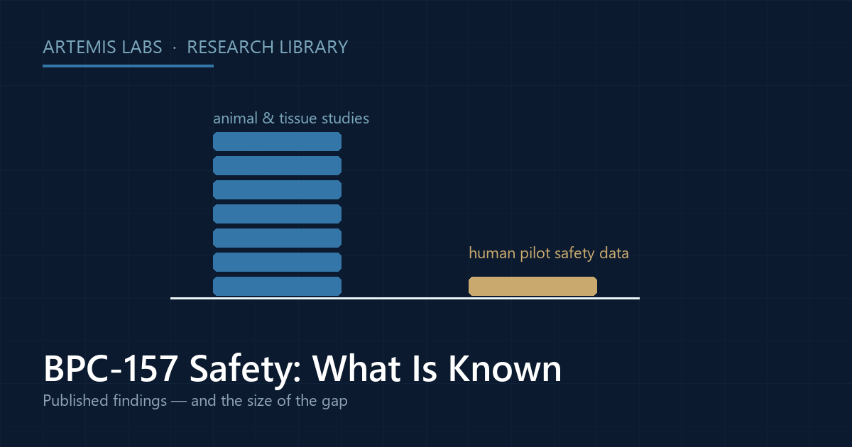 Bar diagram comparing a tall stack of animal-study evidence with a single bar of human pilot safety data for BPC-157
