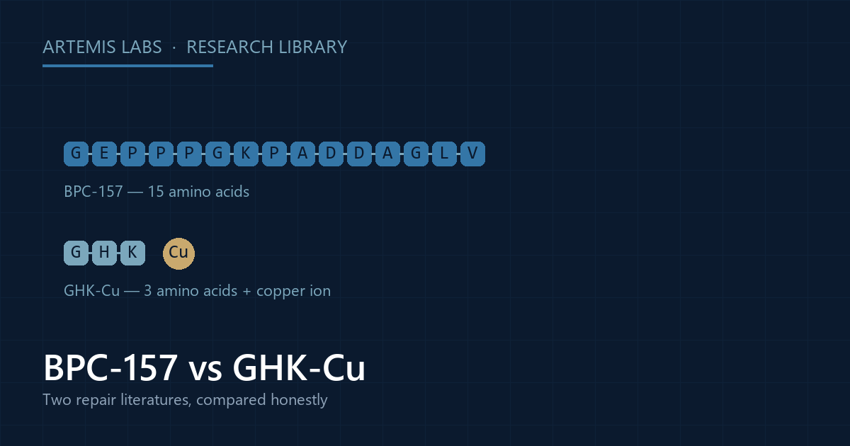 Diagram comparing the 15-amino-acid BPC-157 chain with the 3-amino-acid GHK-Cu copper peptide