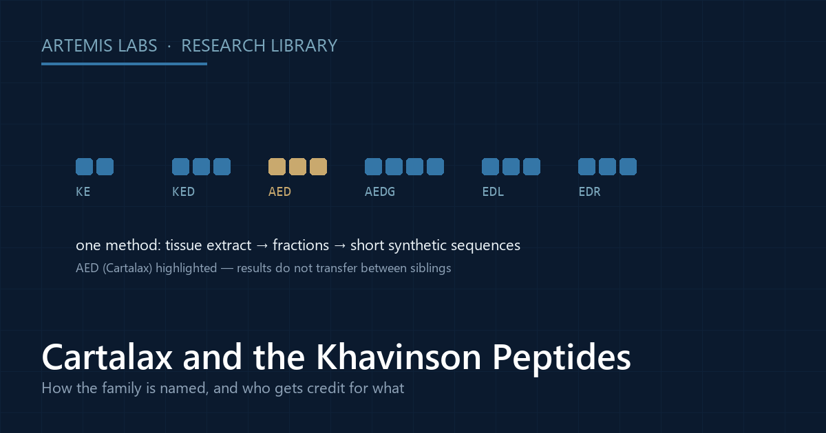 Diagram of the Khavinson short peptide family as residue chains, KE, KED, AED, AEDG, EDL and EDR, with AED (Cartalax) highlighted