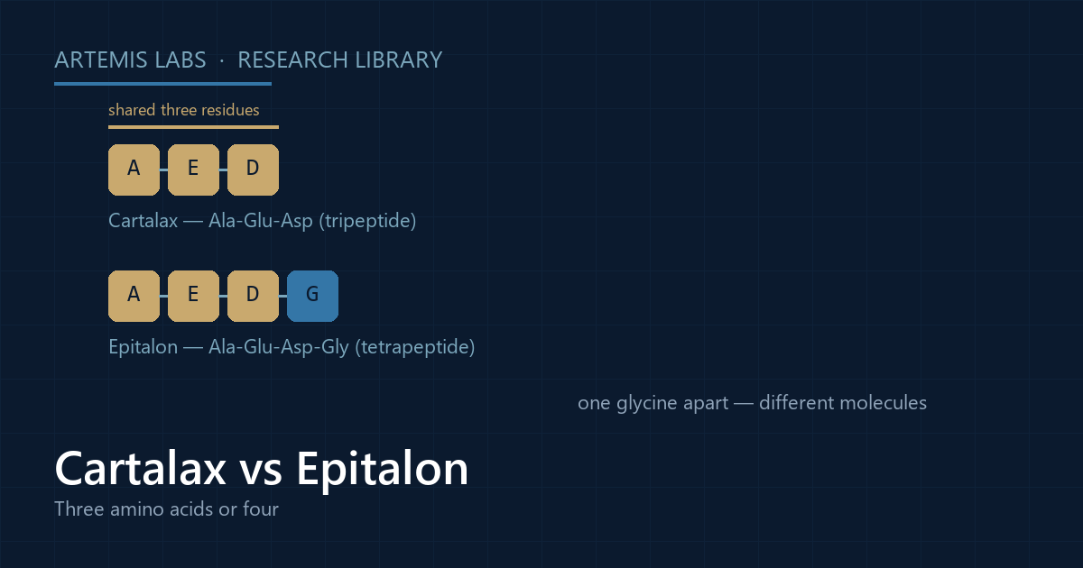 Diagram comparing the Cartalax tripeptide Ala-Glu-Asp with the Epitalon tetrapeptide Ala-Glu-Asp-Gly, highlighting the three shared residues