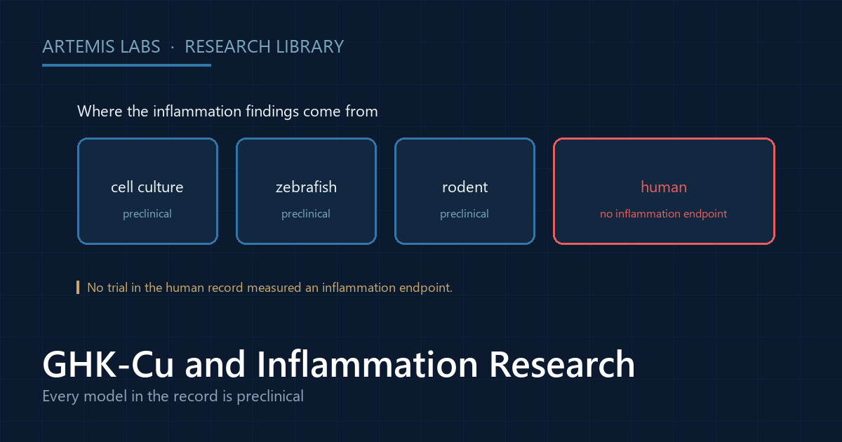 Four labelled panels showing that the GHK-Cu inflammation findings come from cell culture, zebrafish and rodent models, with no human trial measuring an inflammation endpoint