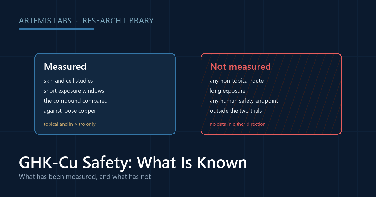 Two panels dividing the GHK-Cu safety record into what has been measured, skin and cell studies, and what has not been measured, drawn as a hatched region