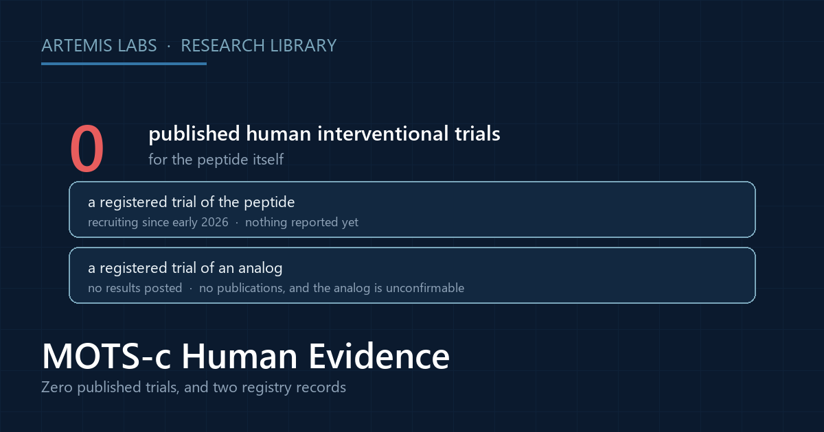 Scorecard showing zero published human interventional trials of MOTS-c, beside two registry records: a trial of the peptide still recruiting and a trial of an analog with no results posted