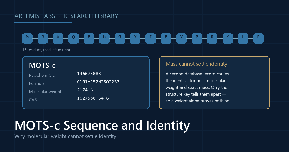 Diagram of the 16-residue MOTS-c sequence MRWQEMGYIFYPRKLR shown with its PubChem CID, molecular formula, molecular weight and CAS number, and a note that a second database record carries the identical mass
