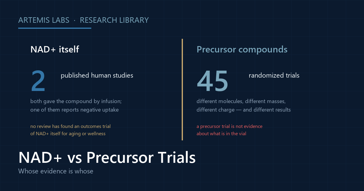Split diagram comparing two published human studies of NAD+ itself with 45 randomized trials of precursor compounds, which are different molecules with different masses