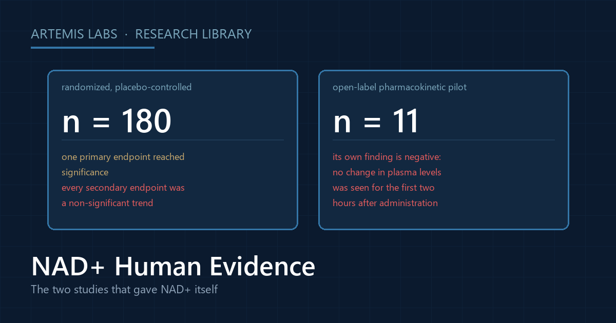 Two cards describing the studies that gave NAD+ itself: a 180-participant randomized placebo-controlled study whose secondary endpoints were all non-significant, and an 11-participant open-label pilot with a negative finding