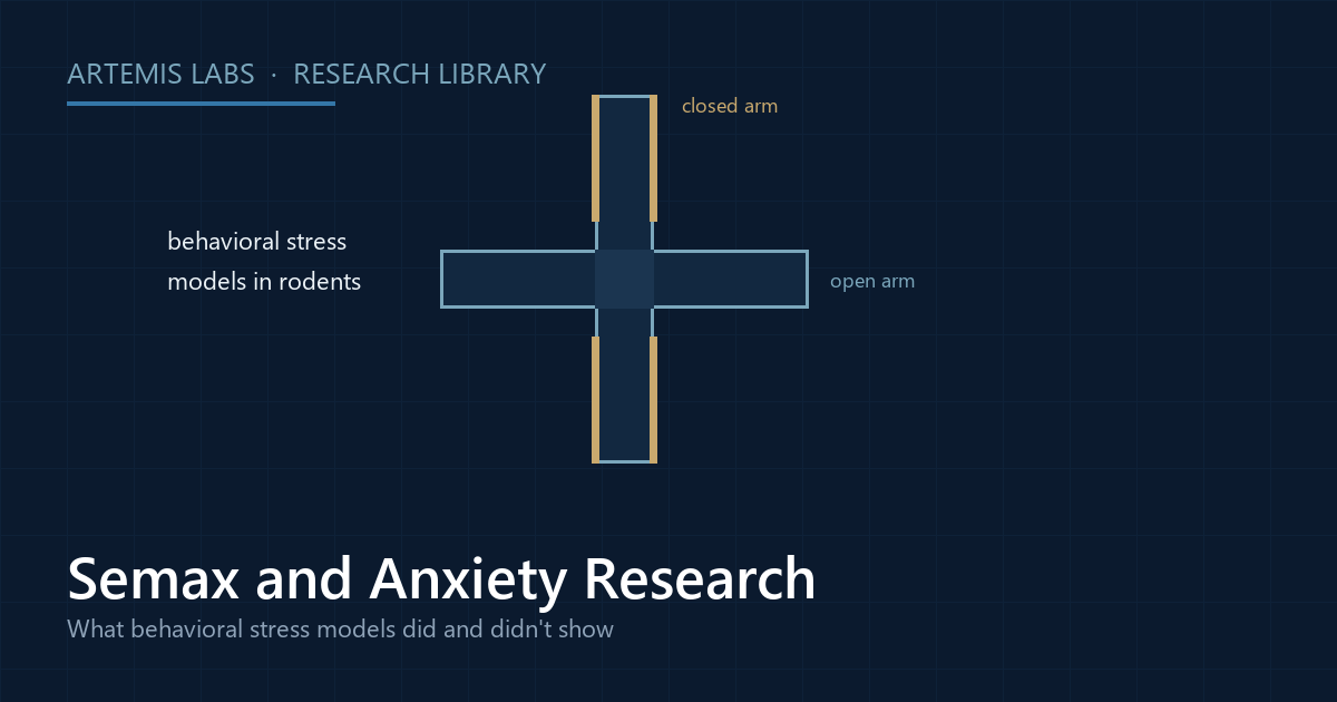 Top-view diagram of an elevated plus maze with open and closed arms, illustrating behavioral stress models in Semax anxiety research