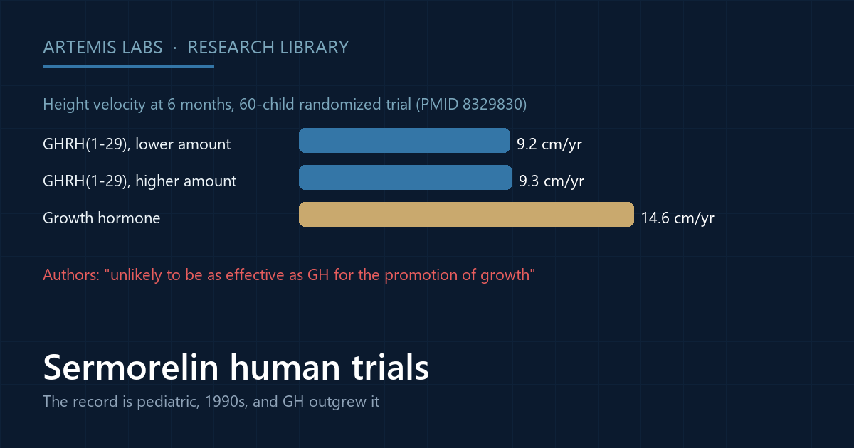 Bar diagram of height velocity at six months in a 60-child randomized trial: 9.2 and 9.3 cm per year on the peptide versus 14.6 on growth hormone