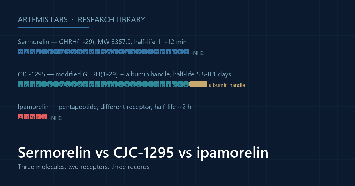 Diagram comparing sermorelin, CJC-1295 with its albumin handle, and the ipamorelin pentapeptide, with their half-lives