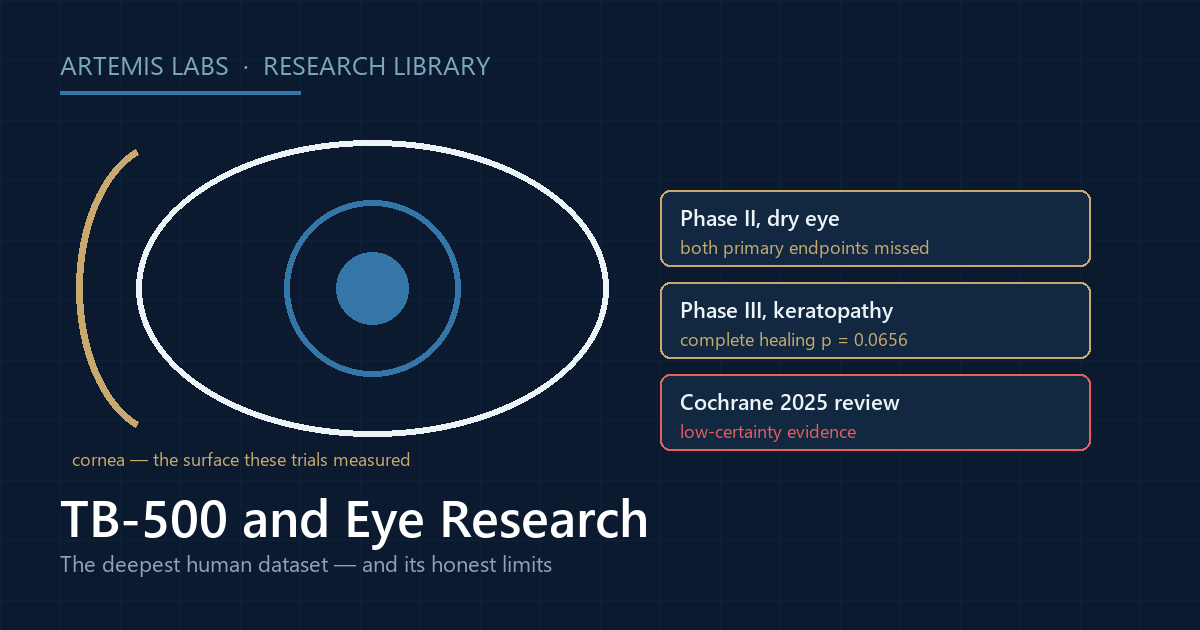 Cross-section diagram of an eye with the cornea highlighted, beside three result panels: a Phase II dry-eye trial that missed both primary endpoints, a Phase III keratopathy trial at p equals 0.0656, and a Cochrane 2025 review grading the evidence low-certainty