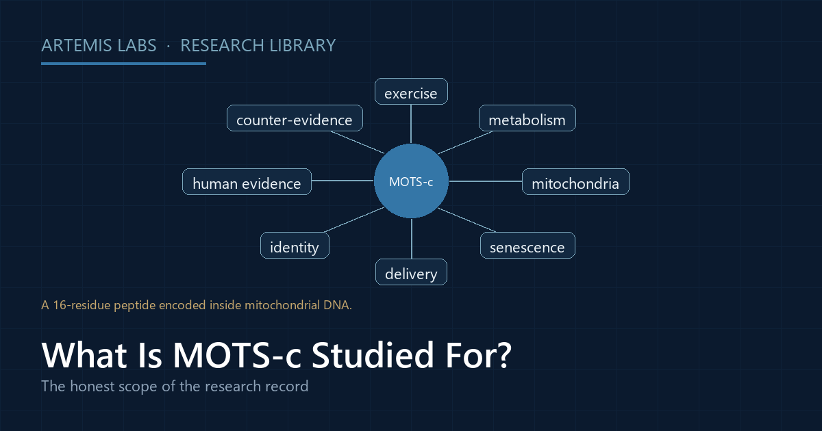 Radial map linking MOTS-c to its research areas: exercise, metabolism, mitochondria, senescence, delivery, identity, human evidence and counter-evidence