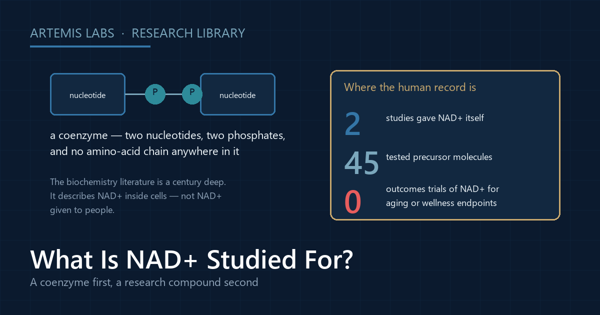 Diagram of NAD+ as a coenzyme built from two nucleotides and two phosphates, beside a panel counting two direct human studies, 45 precursor trials, and zero outcomes trials of NAD+ for aging or wellness endpoints