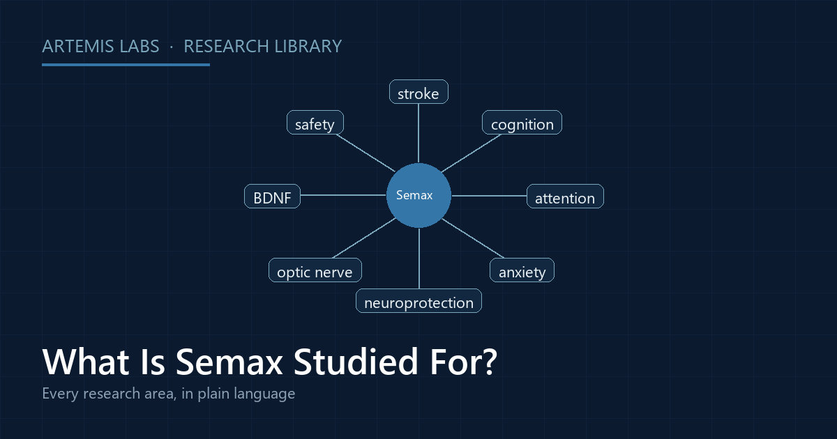 Radial map linking Semax to its research areas: stroke, cognition, attention, anxiety, neuroprotection, optic nerve, BDNF, and safety